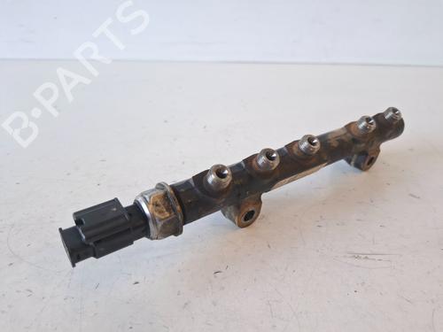 Injection rail CITROËN C3 II (SC_)  | BP29956634M98 
