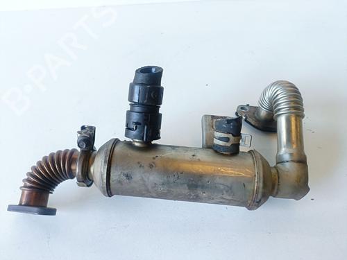 Egr FORD S-MAX (WA6)  | BP22622387M69 