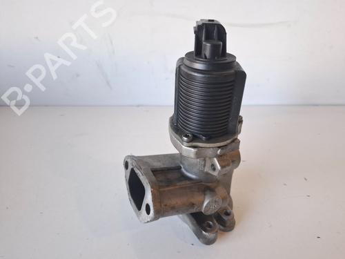 Used Egr FIAT FIORINO Box Body/MPV (225_) 1.3 D Multijet (225BXD1A, 225BXB1A, 225BXB11) (75 hp) 29906596