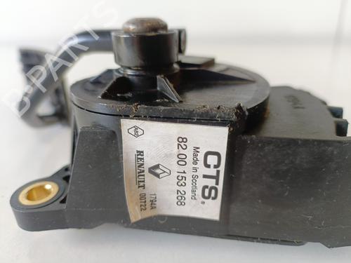 Pedal RENAULT MEGANE II (BM0/1_, CM0/1_)  | BP16111562I4 