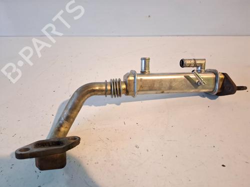 Used Egr NISSAN X-TRAIL I (T30) [2001-2013]  30688060