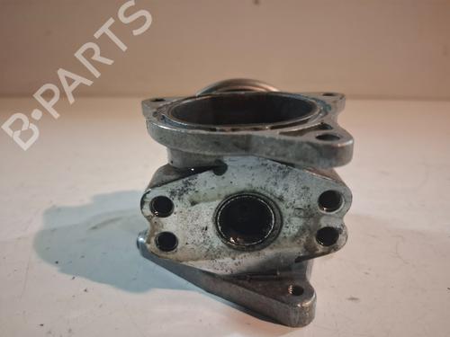 Egr VW GOLF V (1K1)  | BP29970350M69