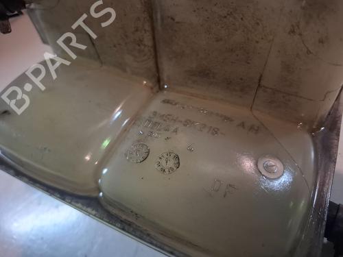 Ekspansjonstank FORD FOCUS II Saloon (DB_, FCH, DH)  | BP29972232C120