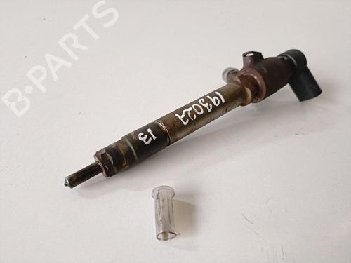 Injector LAND ROVER DISCOVERY III (L319) 2.7 TD 4x4 | BP17672809M100 
