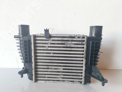 Intercooler RENAULT CLIO III (BR0/1, CR0/1) 1.5 dCi (BR17, CR17) (86 hp) 11973513