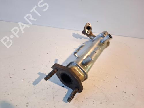 Egr NISSAN X-TRAIL I (T30)  | BP30688060M69 