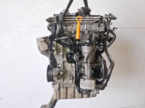 Used Engine VW POLO (9N_, 9A_) 1.4 TDI (80 hp) 25375704