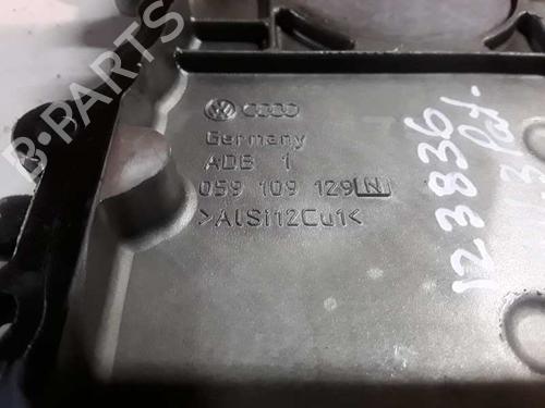 Timing cover AUDI Q5 (8RB)  | BP14304859M123 