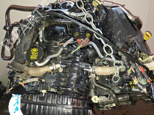 Engine LAND ROVER DISCOVERY III (L319)  | BP26719862M1 