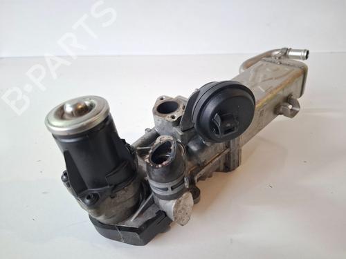 Egr VW CADDY IV Box Body/MPV (SAA, SAH) 2.0 TDI 4motion | BP23331223M69 
