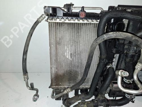 Used Intercooler DACIA DOKKER Box Body/MPV [2012-2021]  30580671