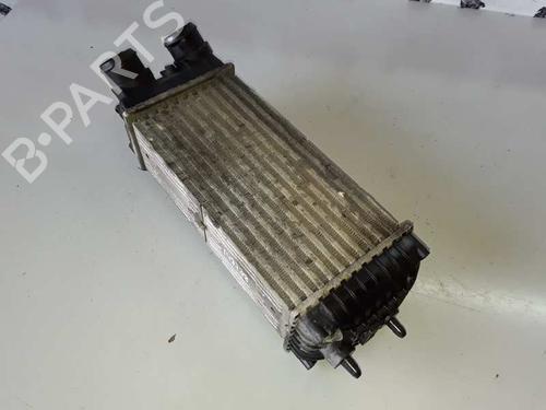 Intercooler CITROËN BERLINGO MULTISPACE (B9) 1.6 HDi 75 16V | BP9315218M30 