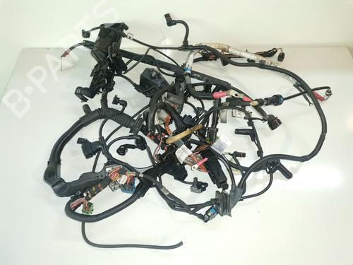 BP14305256O1 main image