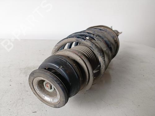 Right front shock absorber SEAT LEON (1M1)  | BP15372079M17 