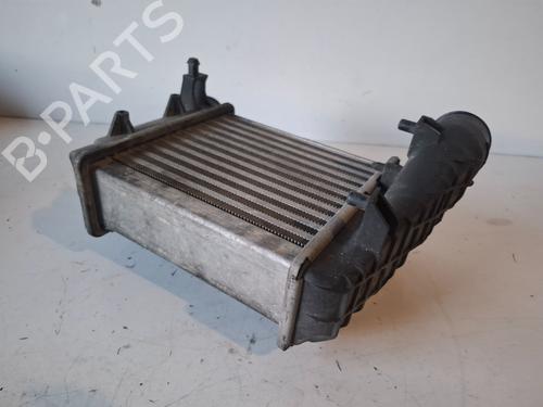 Intercooler AUDI A4 B7 Avant (8ED) 2.5 TDI | BP29906587M30