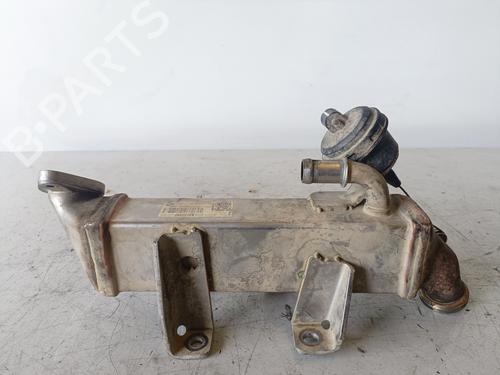 Egr NISSAN X-TRAIL II (T31)  | BP14305466M69 