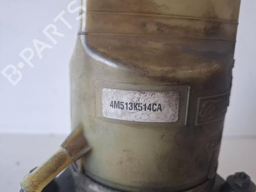 Steering pump FORD C-MAX (DM2)  | BP30729823M99 