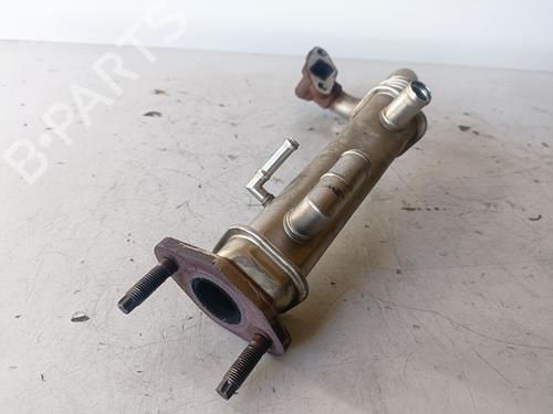 Egr NISSAN X-TRAIL I (T30)  | BP15072680M69 