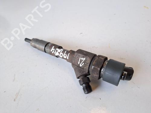 Injector RENAULT SCÉNIC II (JM0/1_)  | BP26680246M100 