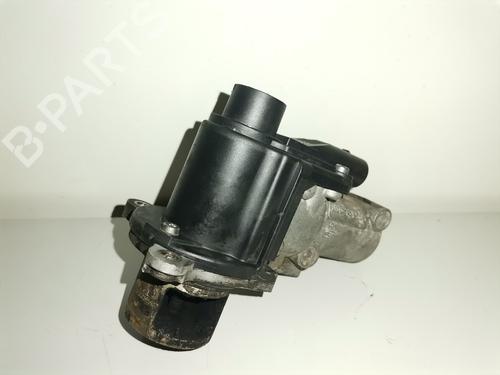 Egr SEAT IBIZA IV (6J5, 6P1)  | BP9290034M69 