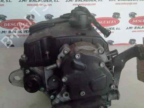 Cylinder head SEAT IBIZA III (6L1) 1.4 TDI (70 hp) 10969294