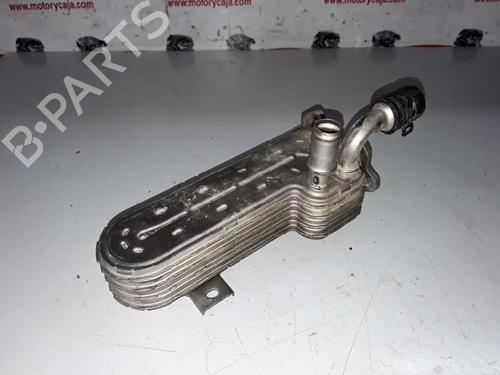 EGR-Ventil VW GOLF V (1K1) [2003-2010]  14305024
