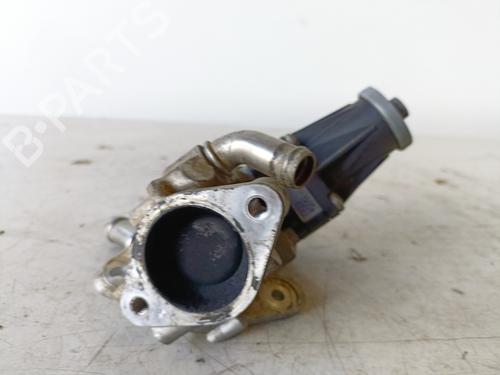 Egr FORD RANGER (TKE) 2.2 TDCi 4x4 | BP13812255M69 