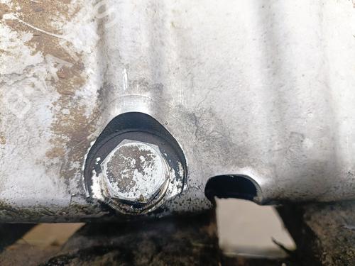 Engine SEAT IBIZA III (6L1)  | BP13882459M1 