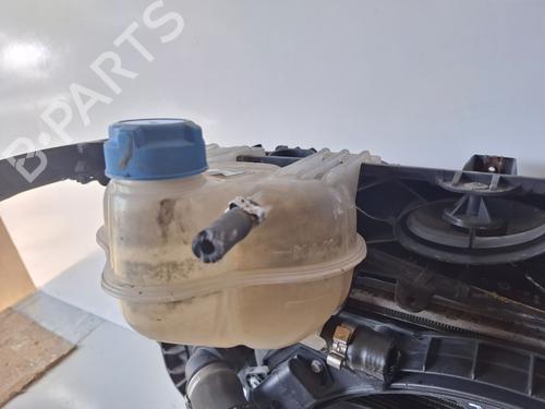 Expansion tank FIAT GRANDE PUNTO (199_) 1.3 D Multijet (199.AXD11, 199.AXD1A, 199.AXD1B,... | BP25608074C120