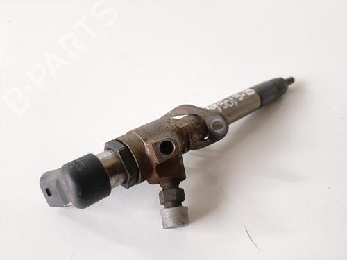 Injector LAND ROVER DISCOVERY III (L319) 2.7 TD 4x4 | BP17672802M100 