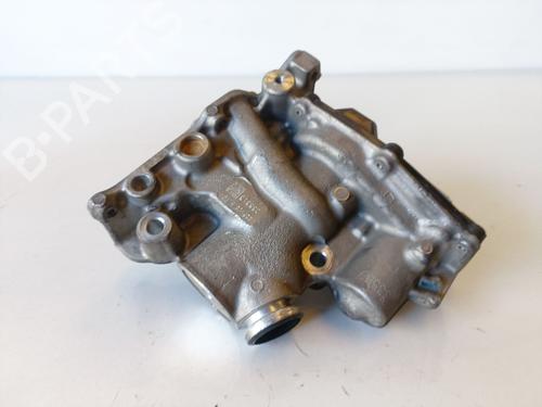 Egr RENAULT SCÉNIC III (JZ0/1_)  | BP19542747M69 