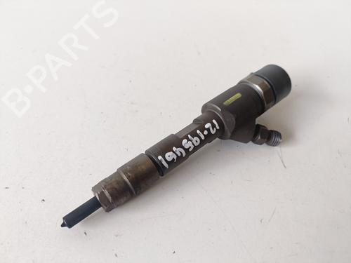 Injector RENAULT MEGANE II (BM0/1_, CM0/1_) 1.9 dCi | BP19105868M100