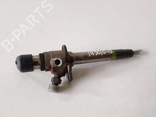 Injector LAND ROVER DISCOVERY III (L319) 2.7 TD 4x4 | BP17672799M100 
