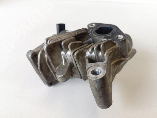 Egr RENAULT GRAND SCÉNIC II (JM0/1_) 1.9 dCi (JM0G, JM12, JM1G, JM2C) | BP20705481M69 