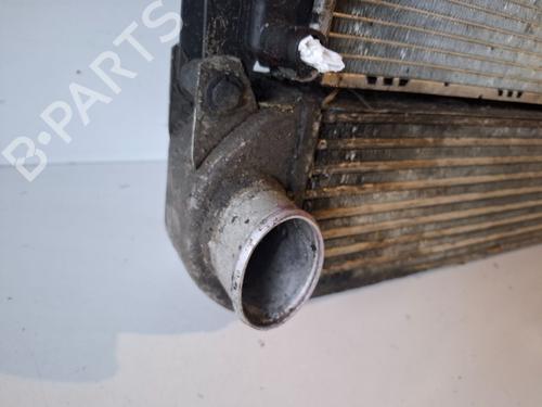 Intercooler LAND ROVER DISCOVERY III (L319)  | BP29549643M30 