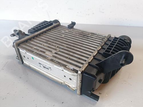 Intercooler RENAULT CLIO III (BR0/1, CR0/1) 1.5 dCi (BR17, CR17) | BP11973513M30