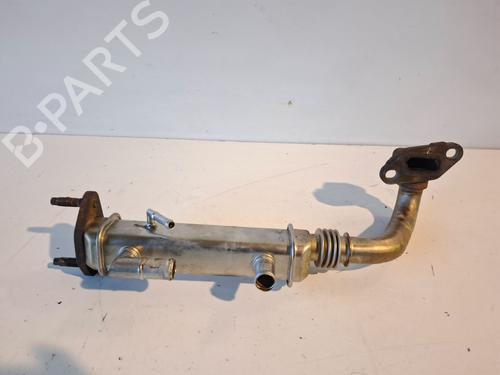 Egr NISSAN X-TRAIL I (T30)  | BP30688060M69 