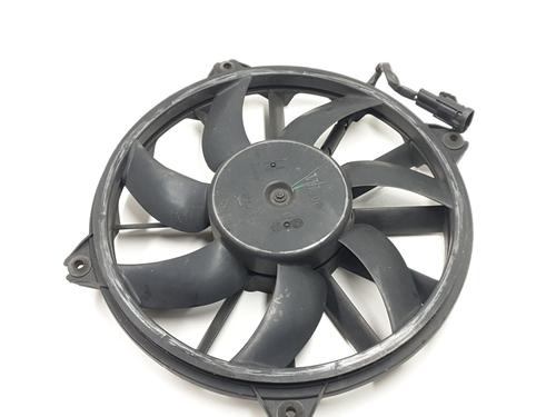 Radiator fan CITROËN BERLINGO Box Body/MPV (B9)  | BP29750251M35