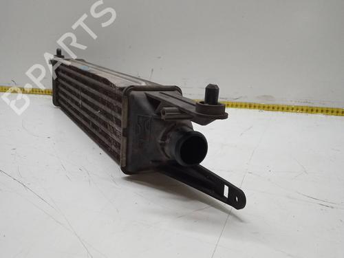 Intercooler FIAT PUNTO EVO (199_)  | BP9486273M30 