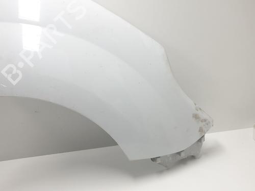Right front fenders RENAULT KANGOO / GRAND KANGOO II (KW0/1_)  | BP29973373C42