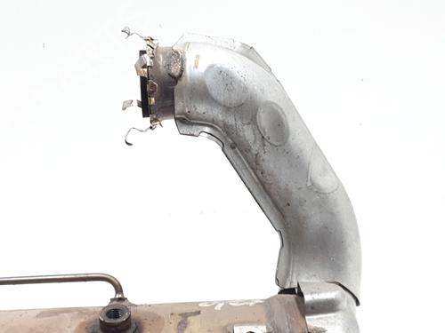 Catalyst RENAULT KANGOO / GRAND KANGOO II (KW0/1_)  | BP29554381M10 