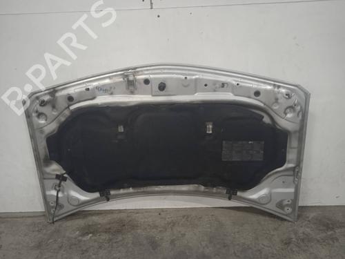 Hood RENAULT MEGANE II (BM0/1_, CM0/1_)  | BP11174988C1 