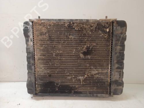 Water radiator LAND ROVER DISCOVERY I (LJ)  | BP13665675M31 