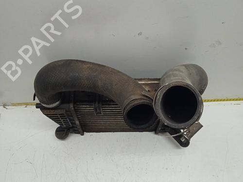 Intercooler NISSAN JUKE (F15)  | BP9484671M30 