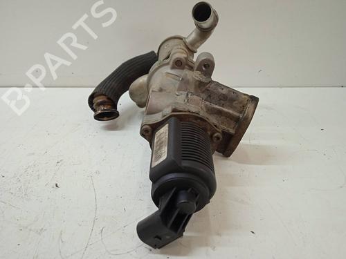 Egr FIAT FIORINO Box Body/MPV (225_) | BP15252503M69