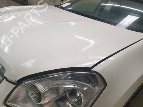 Spreder / Dyse NISSAN QASHQAI / QASHQAI +2 I (J10, NJ10, JJ10E)  | BP21381697M100 