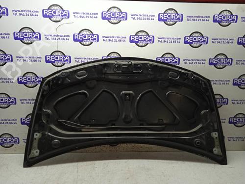 Hood RENAULT CLIO III (BR0/1, CR0/1)  | BP9466740C1 