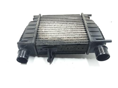 Intercooler Intercooler RENAULT CLIO III (BR0/1, CR0/1) 1.5 dCi (BR17, CR17) (86 hp) 36526548 36526548