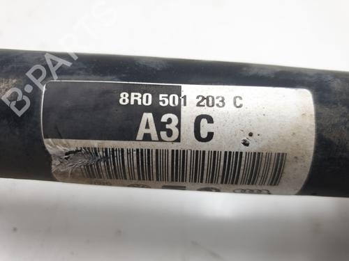  - Image 7