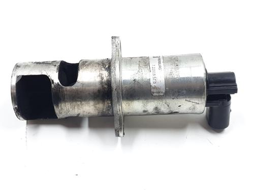 Egr RENAULT KANGOO (KC0/1_) [1997-2025]  29506668